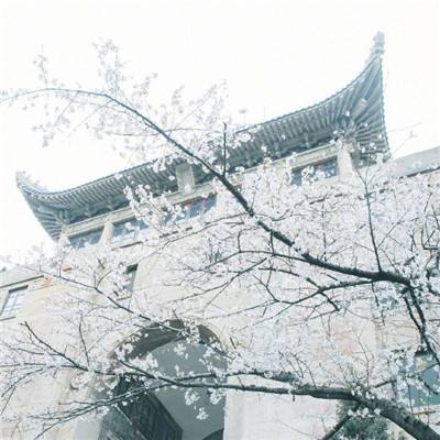 九游勇士与旅途手游下载