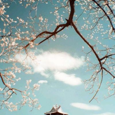轩剑世界手游九游版下载